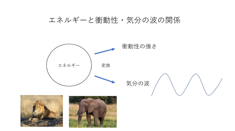 エネルギーと強さと衝動性・気分の波01