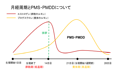 月経周期とPMS・PMDDについて