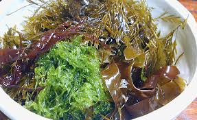 海藻料理|北陸の郷土食 | 自然人ネット